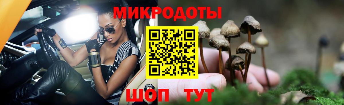 Галлюциногенные грибы Psilocybine cubensis  Псилоцибиновые грибы GOLDEN TEACHER  Вход с VPN  Красный Сулин 